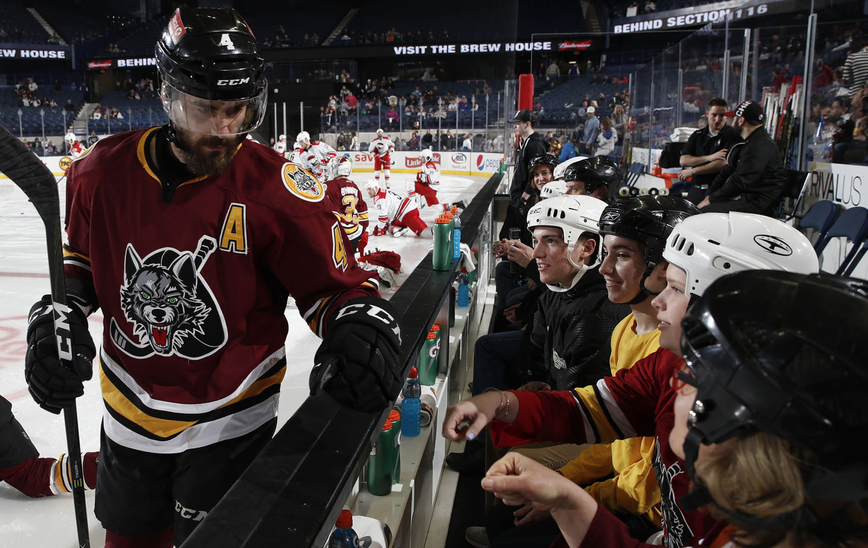 Wolves Player Jersey Sale - Chicago Wolves